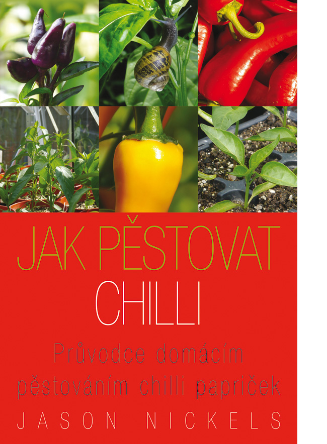 Jak pěstovat chilli